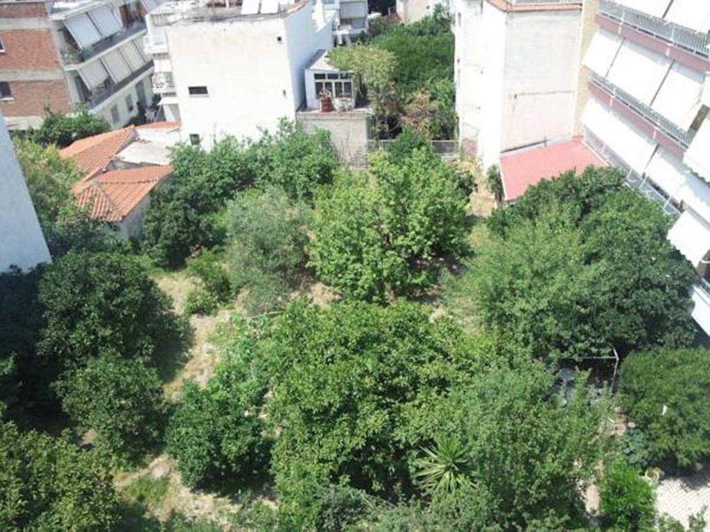 Foivos Hotel Loutra Edipsou  Bilik gambar